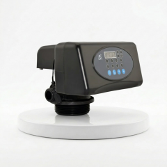 F71P1 Filtre Valfi